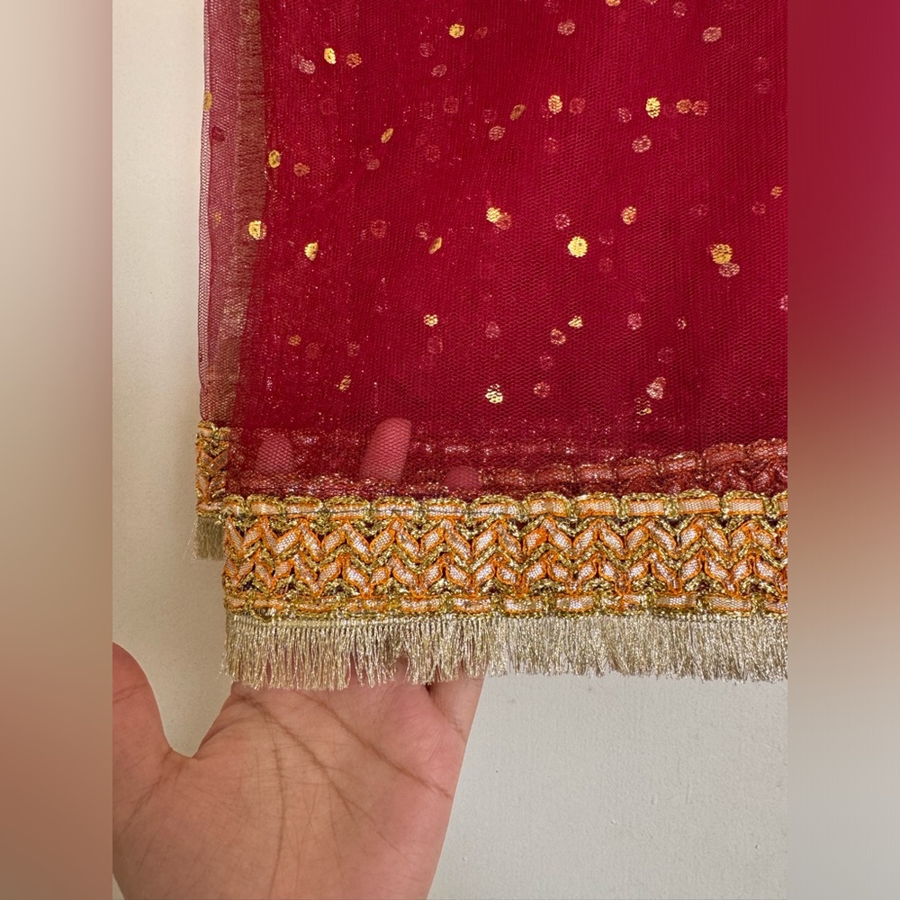 Fancy Net Dupatta - image 2